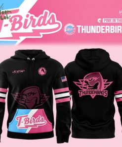 Springfield Thunderbirds x Pink in The Rink Hoodie – NHL Charity Apparel