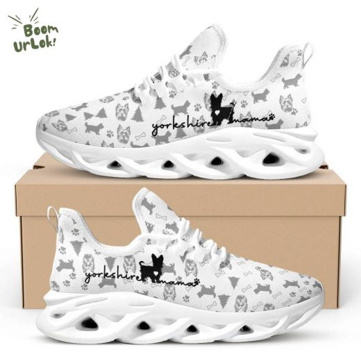 Yorkshire Terrier MAMA Max Soul Shoes