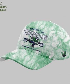 Limited Edition Ab Canucks 2025 Calder Cup Champions Tshirt New Design