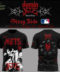 Limited Edition Stray Kids 2025 Shirt