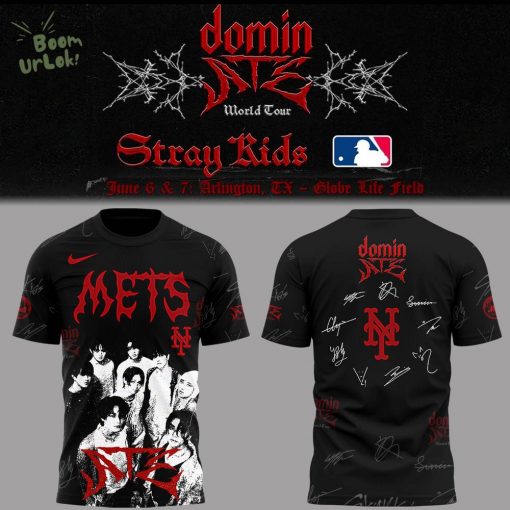 Limited Edition Stray Kids 2025 Shirt