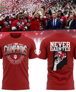 Indiana Hoosiers Big 10 Champions Locker Room T-shirt